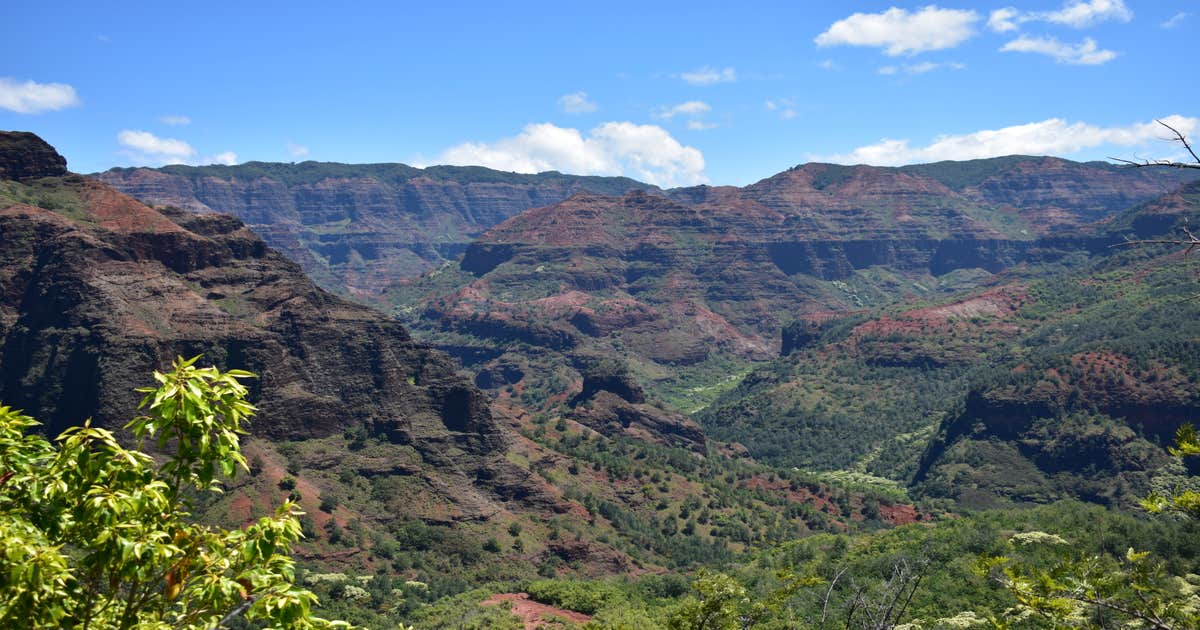Koaie Primitive - Kokee State Park - Kauai