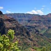 Review photo of Koaie Primitive - Kokee State Park - Kauai by Sasha W., July 19, 2018