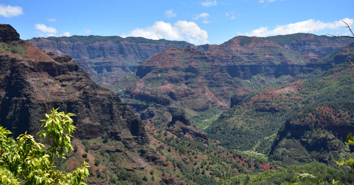 Koaie Primitive - Kokee State Park - Kauai