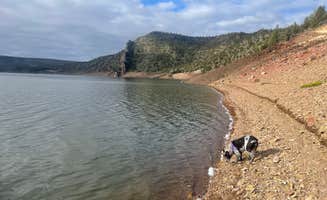 Stacy B.'s photo of camping with pets at Prineville Reservoir Main Campground — Prineville Reservoir State Park near Central Oregon