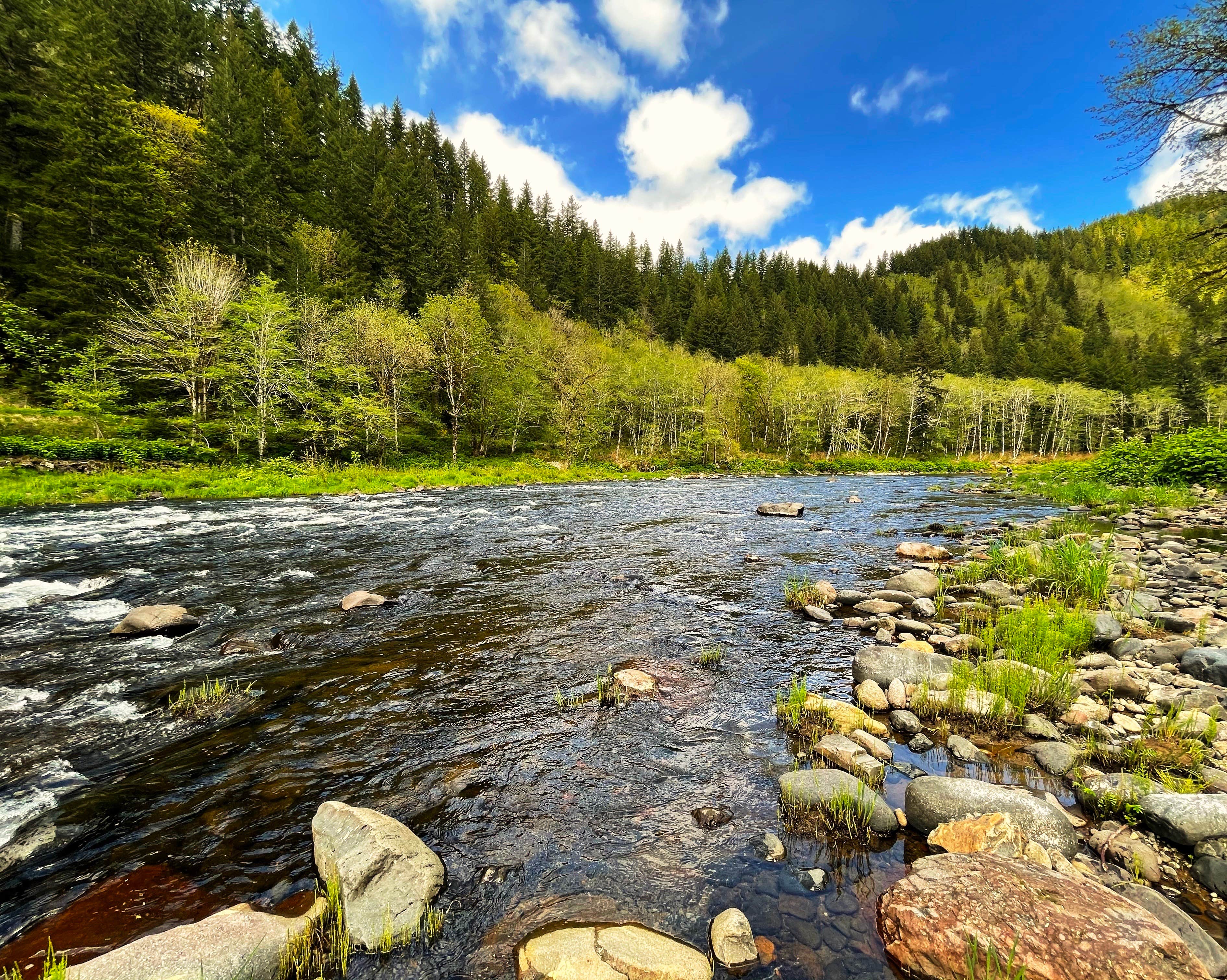 Camper-submitted photo at Henry Rierson Spruce Run Campground near Timber, OR