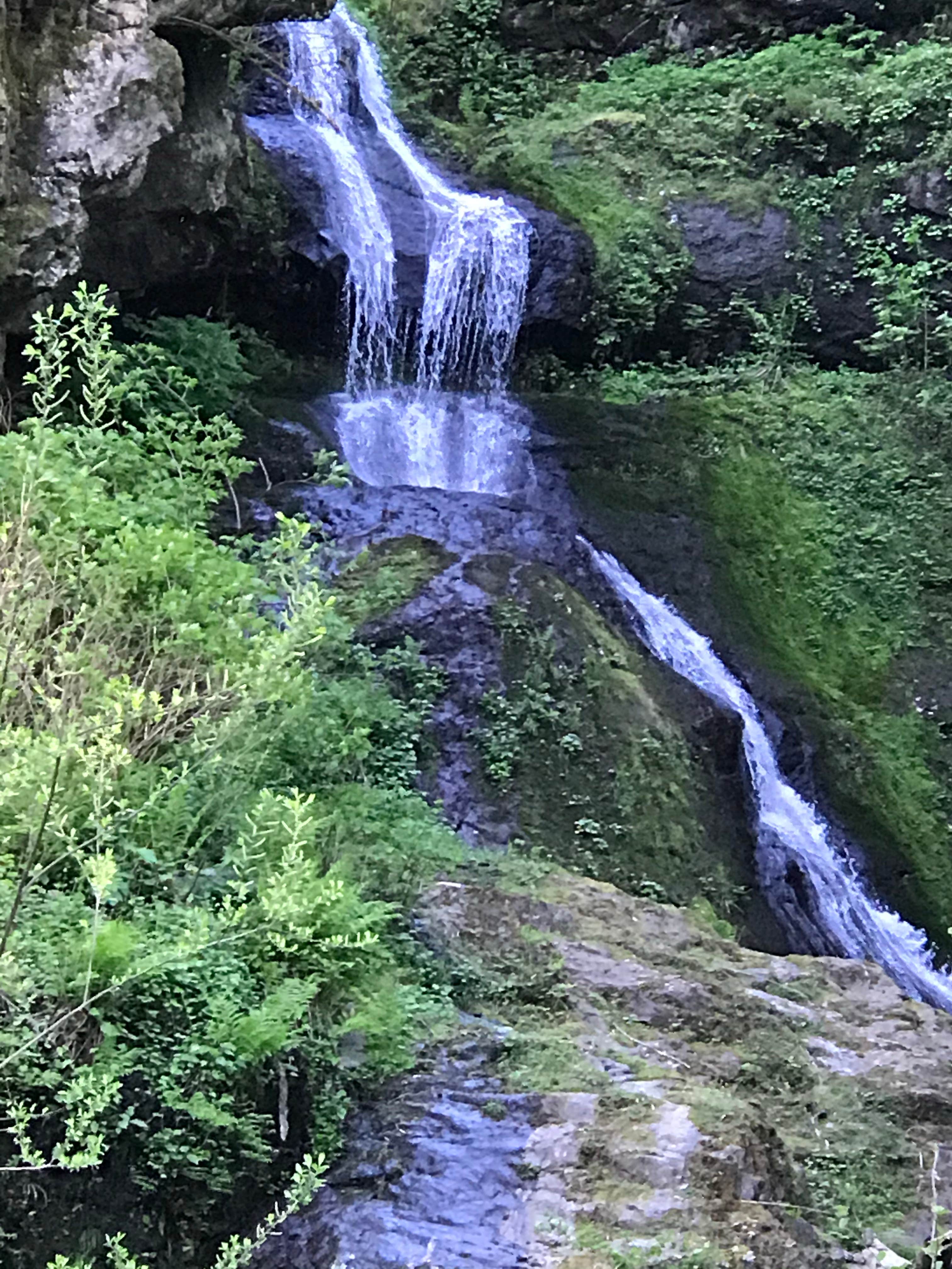 Camper-submitted photo at Henry Rierson Spruce Run Campground near Timber, OR