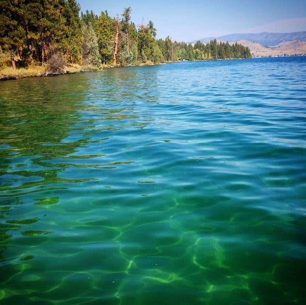 Camper submitted image from Big Arm State Unit — Flathead Lake State Park - 4