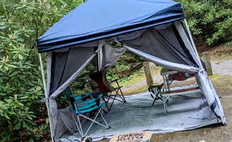 Jeanna H.'s photo at Hurricane Campground near Chilhowie, VA