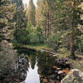 Review photo of Rock Creek Lake Campground by Candice M., July 19, 2022