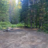 Review photo of Mount Hood National Forest - NF 2656 -Dispersed Camping by Caroline E., July 19, 2022