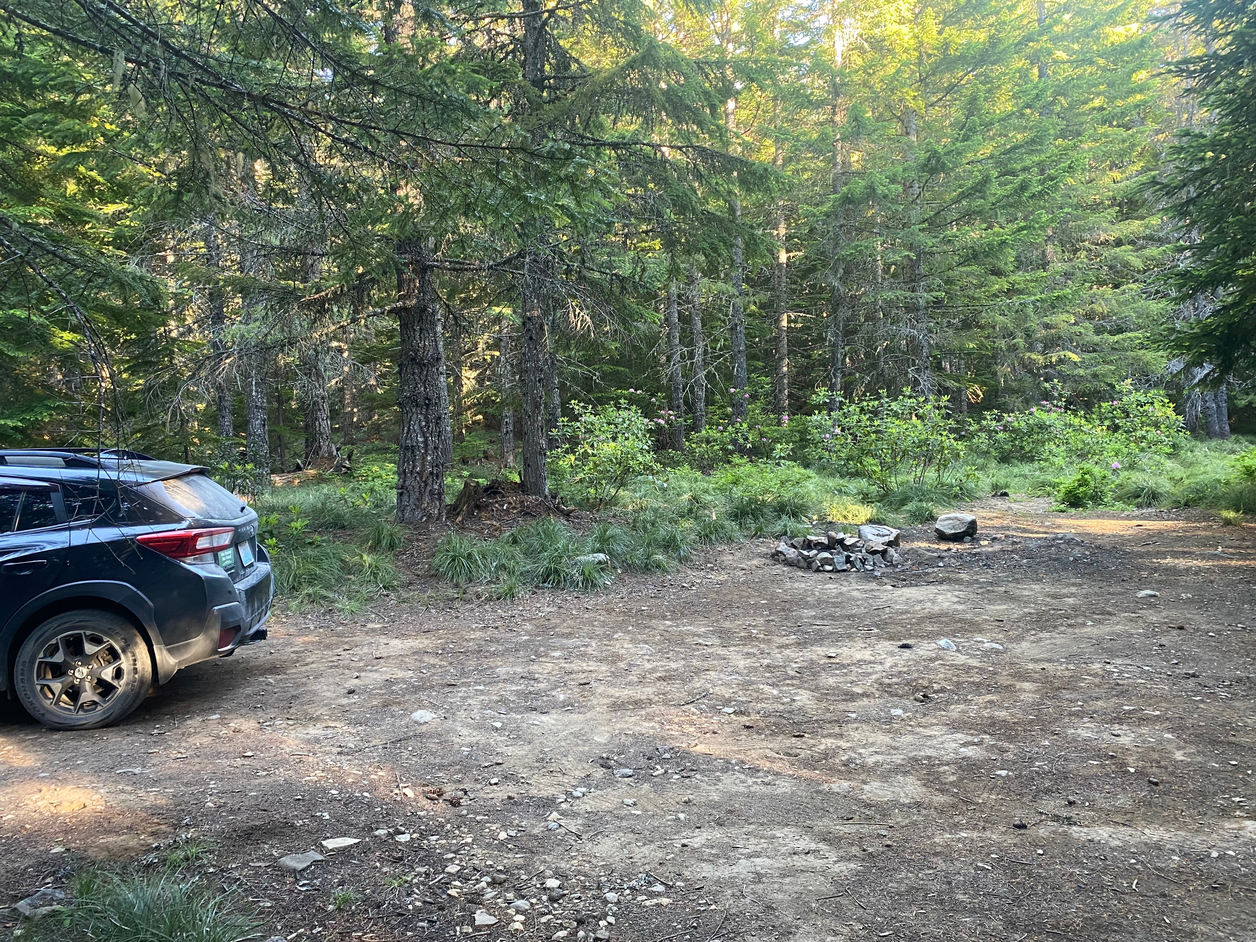 Camper submitted image from Mount Hood National Forest -  NF 2656 -Dispersed Camping - 3