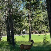 Review photo of Thousand Trails Bend-Sunriver by Ella T., July 19, 2022