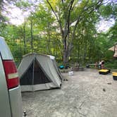 Review photo of Starved Rock Campground — Starved Rock State Park by Patrick W., July 19, 2022