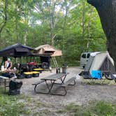 Review photo of Starved Rock Campground — Starved Rock State Park by Patrick W., July 19, 2022