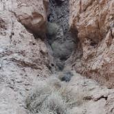 Review photo of Goblin Valley State Park by Steven M., July 19, 2022