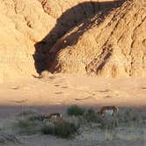 Review photo of Goblin Valley State Park by Steven M., July 19, 2022