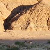 Review photo of Goblin Valley State Park by Steven M., July 19, 2022