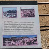 Review photo of Goblin Valley State Park by Steven M., July 19, 2022