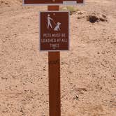 Review photo of Goblin Valley State Park by Steven M., July 19, 2022