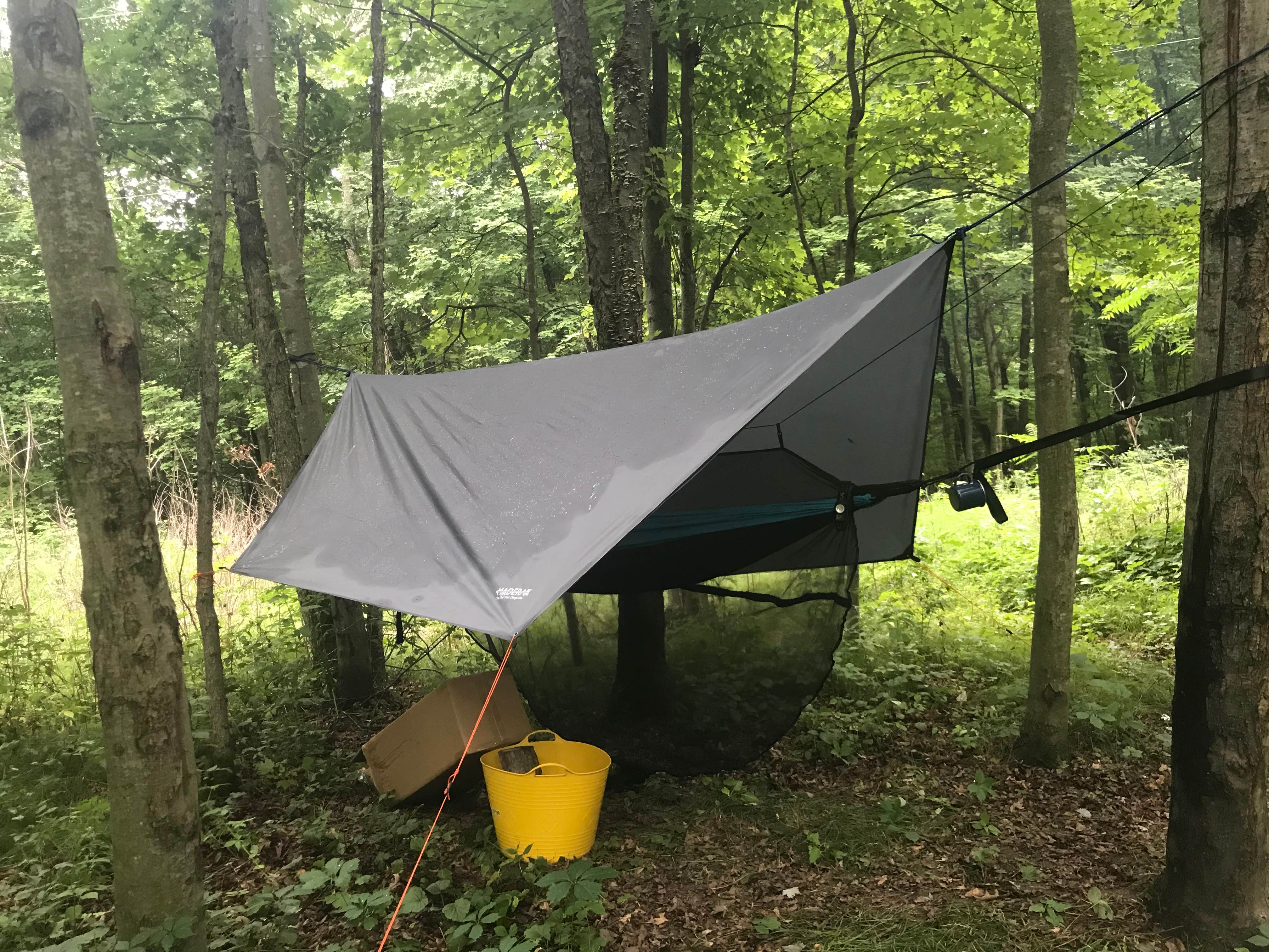 Camper submitted image from Rocky Arbor State Park - 4