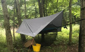 Lisa S.'s photo at Rocky Arbor State Park Campground near Wisconsin Dells, WI
