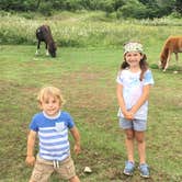 Review photo of Hickory Ridge Campground — Grayson Highlands State Park by Patrick W., July 19, 2022