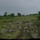 Review photo of Hickory Ridge Campground — Grayson Highlands State Park by Patrick W., July 19, 2022