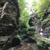 Review photo of Watkins Glen State Park Campground by Patrick W., July 19, 2022