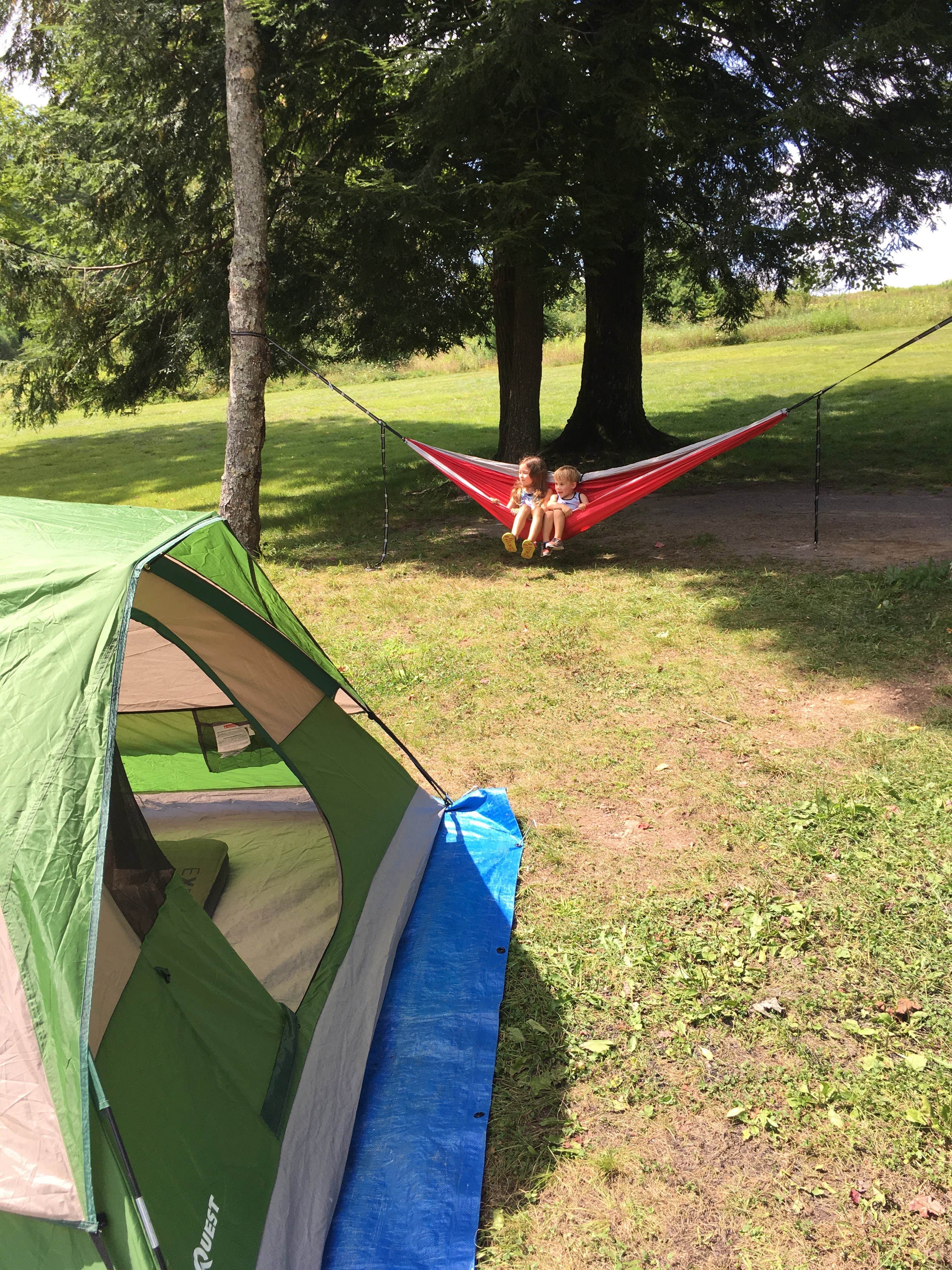 Patrick W.'s photo at Cherry Springs State Park Campground near Westfield, PA
