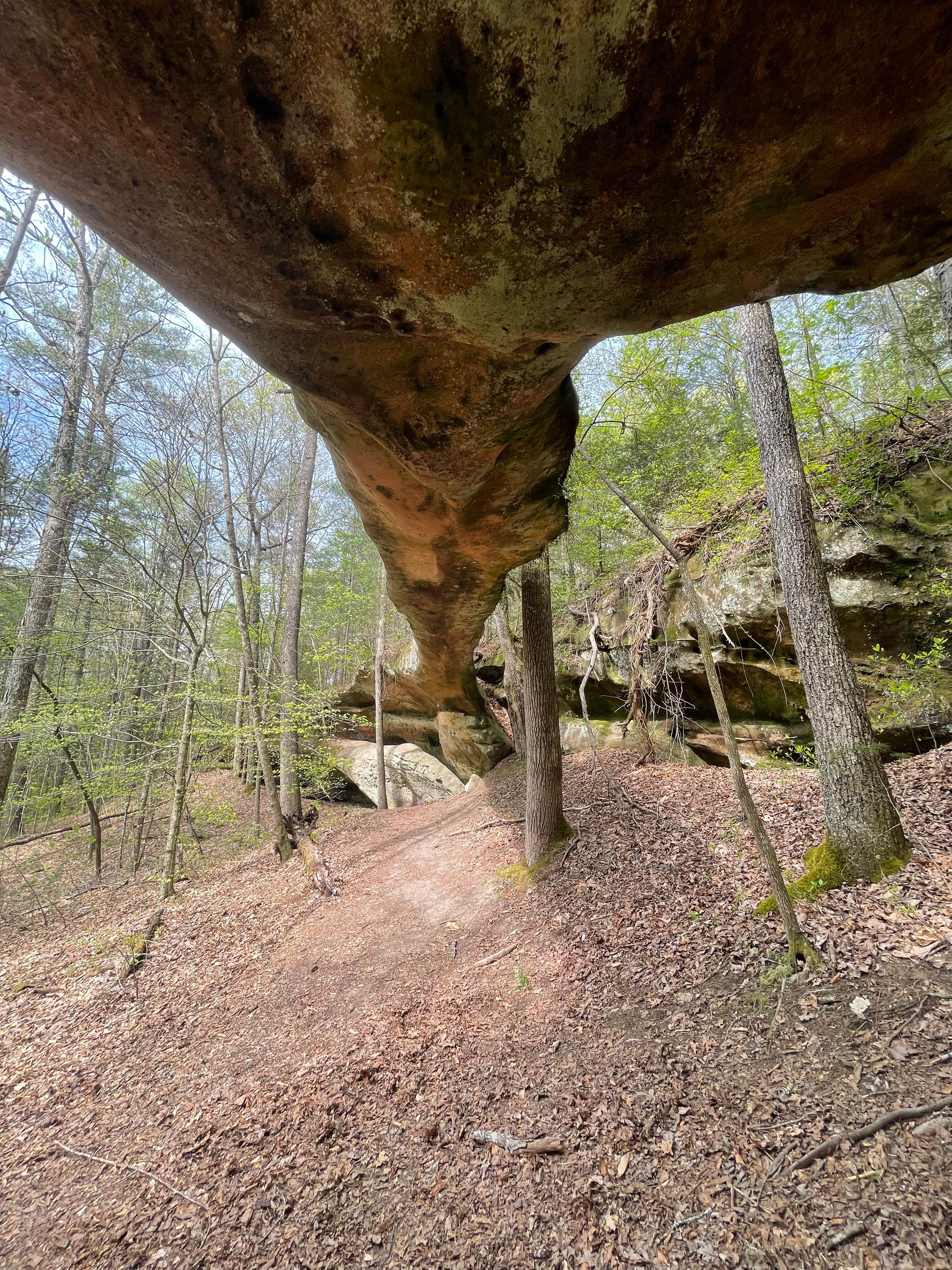 Camper submitted image from Black House Mountain - 4