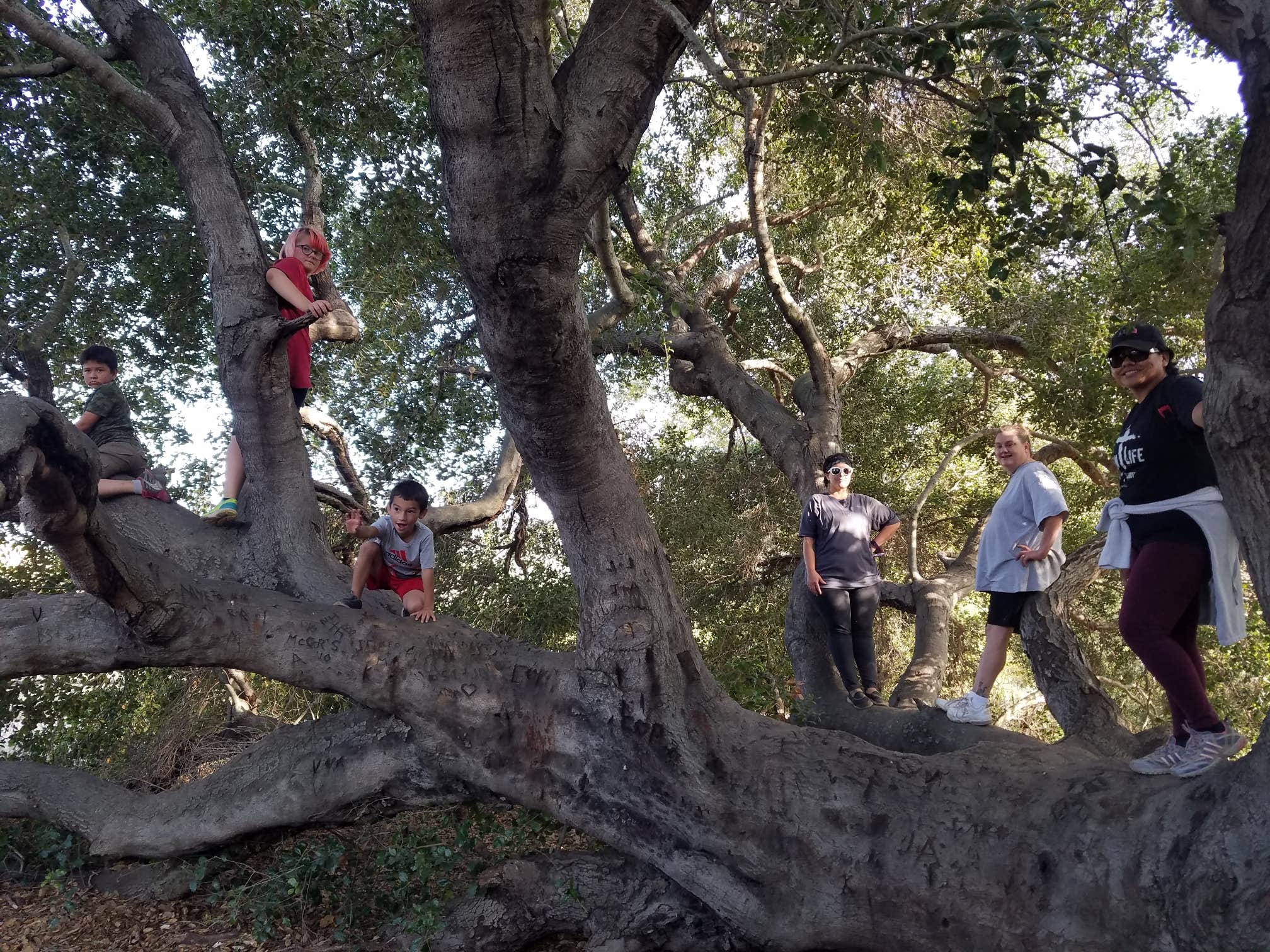 Camper-submitted photo at Kumeyaay Lake Campground near Chula Vista, CA