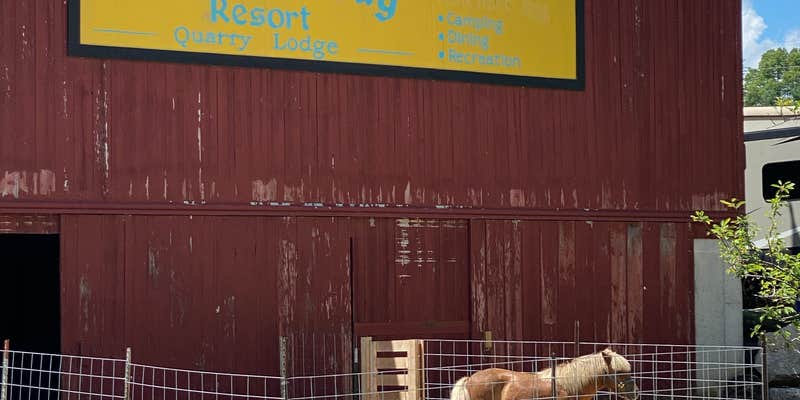 Camper submitted image from Skip-A-Way Resort