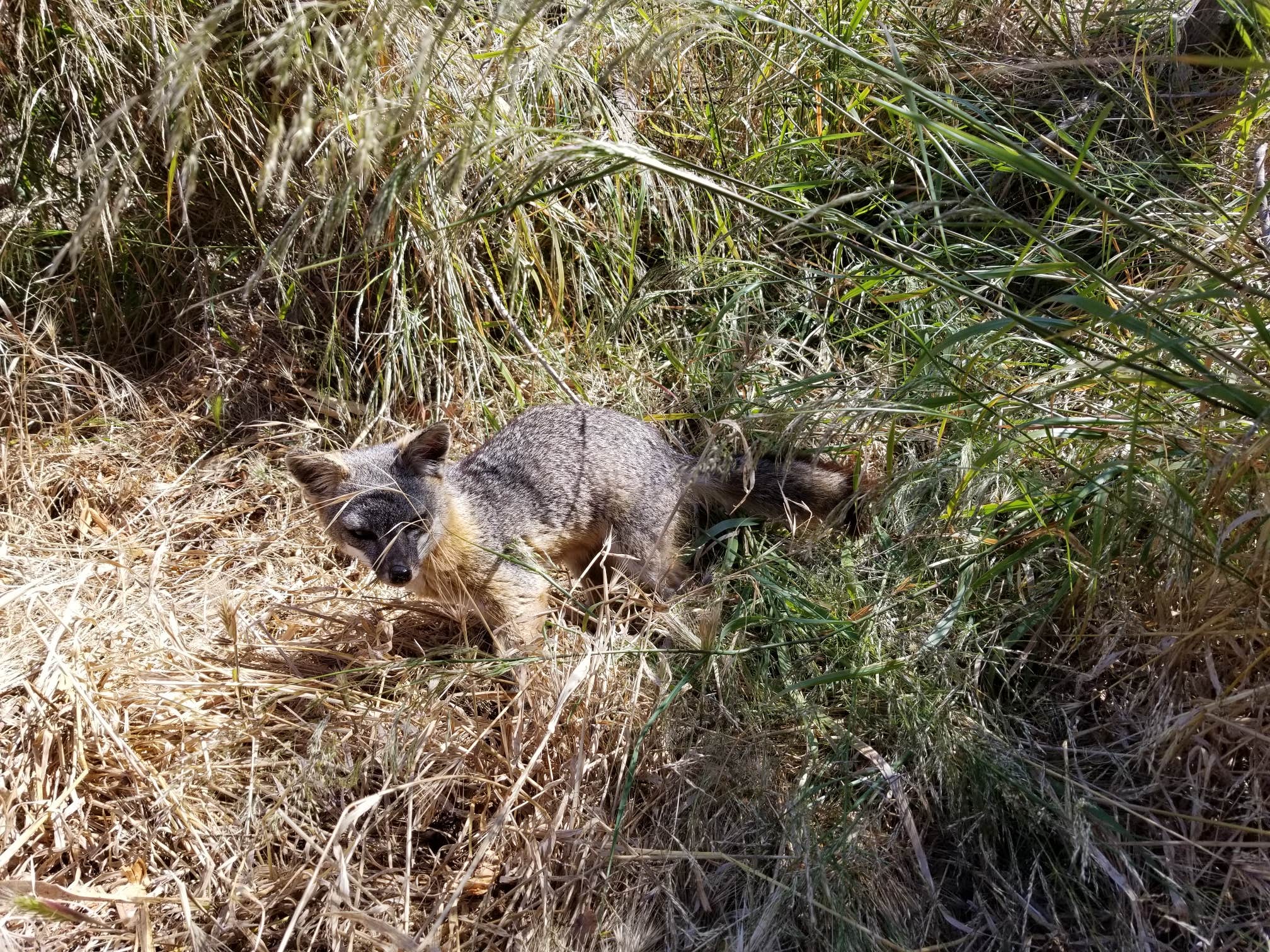 Camper-submitted photo at Santa Cruz Island Scorpion Canyon Campground — Channel Islands National Park near Moorpark, CA
