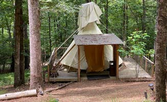 Bob and Cathy W.'s photo of tent camping at The Glamp Shack near Blue Ridge, GA