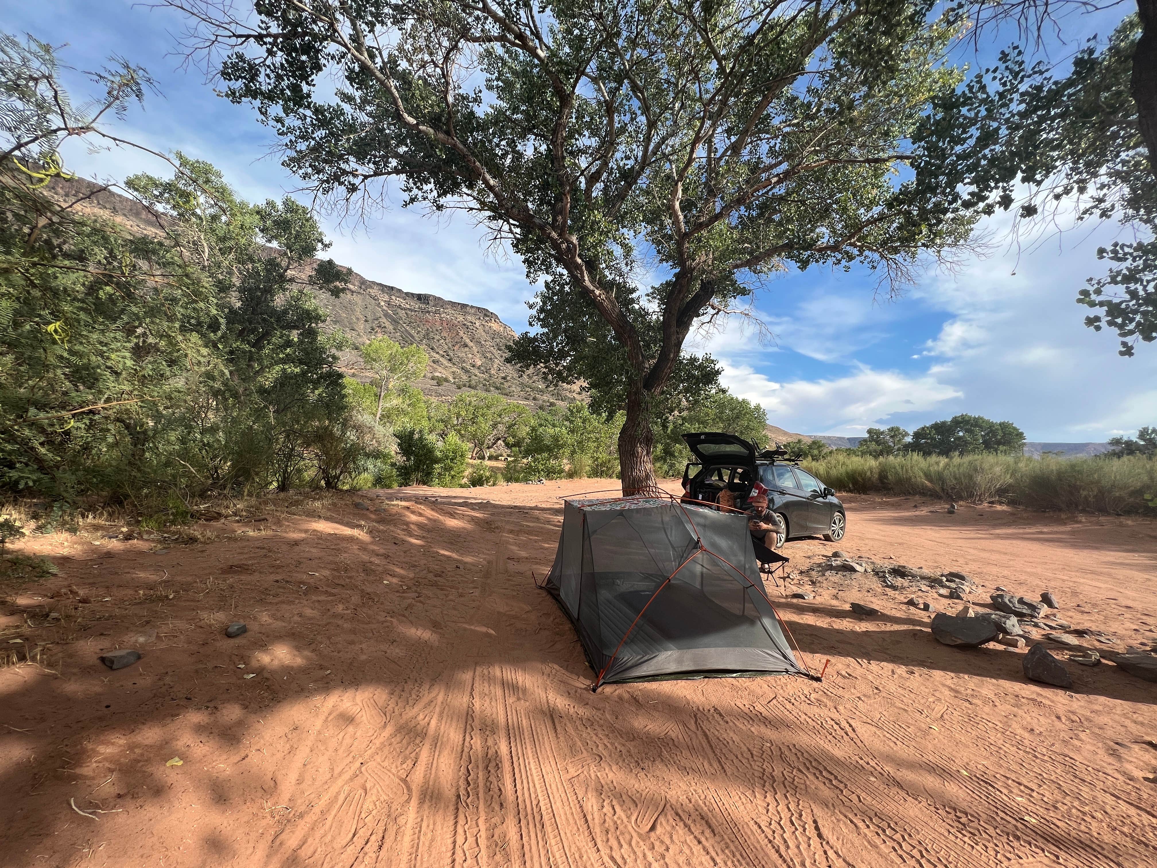 Gooseberry Mesa Dispersed Camping Reviews updated 2024