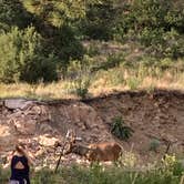 Review photo of Yogi Bear's Jellystone Park at Estes Park by Mary M., July 19, 2022