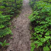 Review photo of Hurricane River Campground — Pictured Rocks National Lakeshore by Amanda S., July 19, 2022