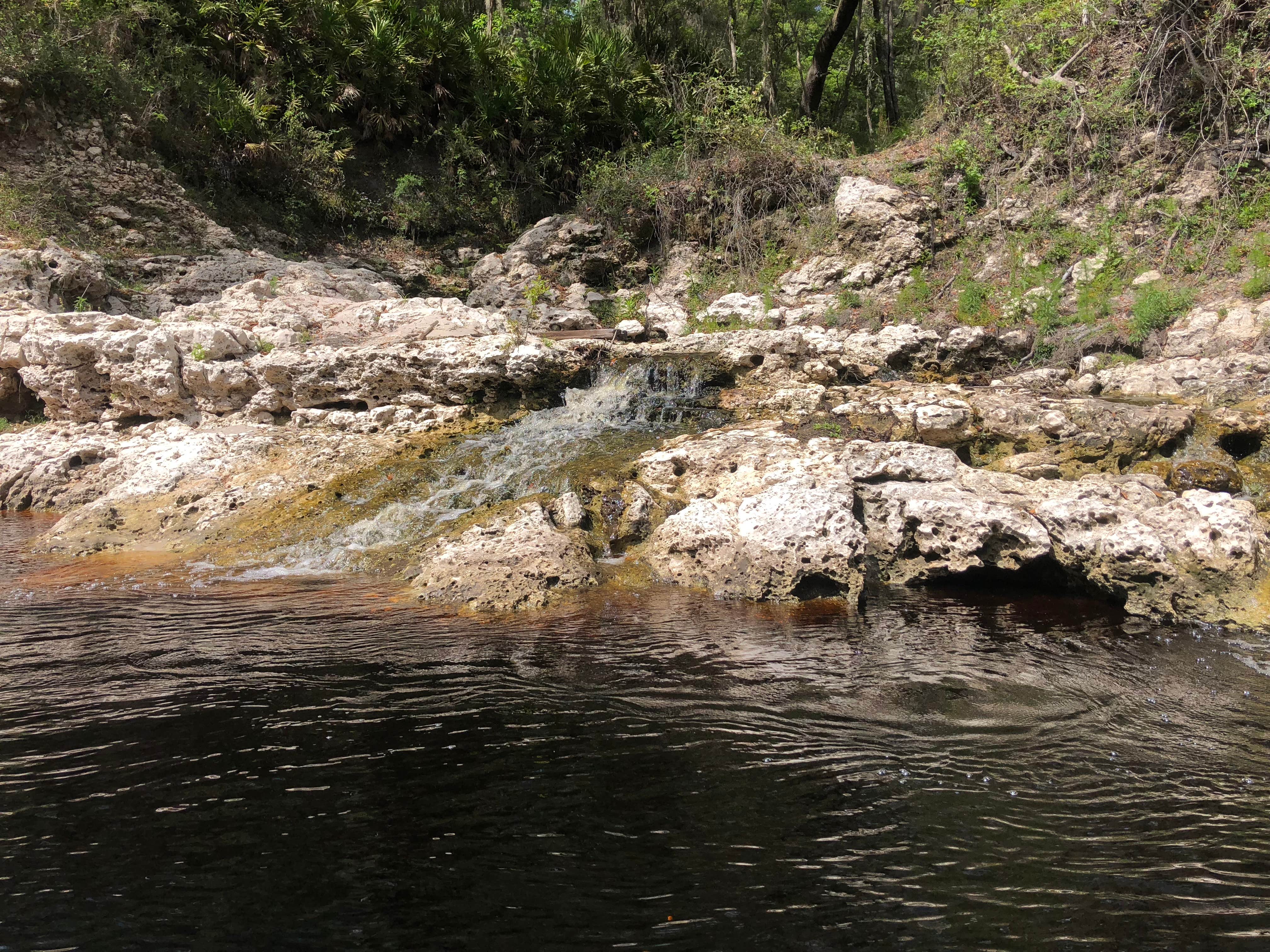 Camper-submitted photo at Spirit of the Suwannee Music Park & Campground near Lake City, FL