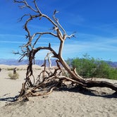 Review photo of Mesquite Spring Campground — Death Valley National Park by Katie O., July 14, 2018