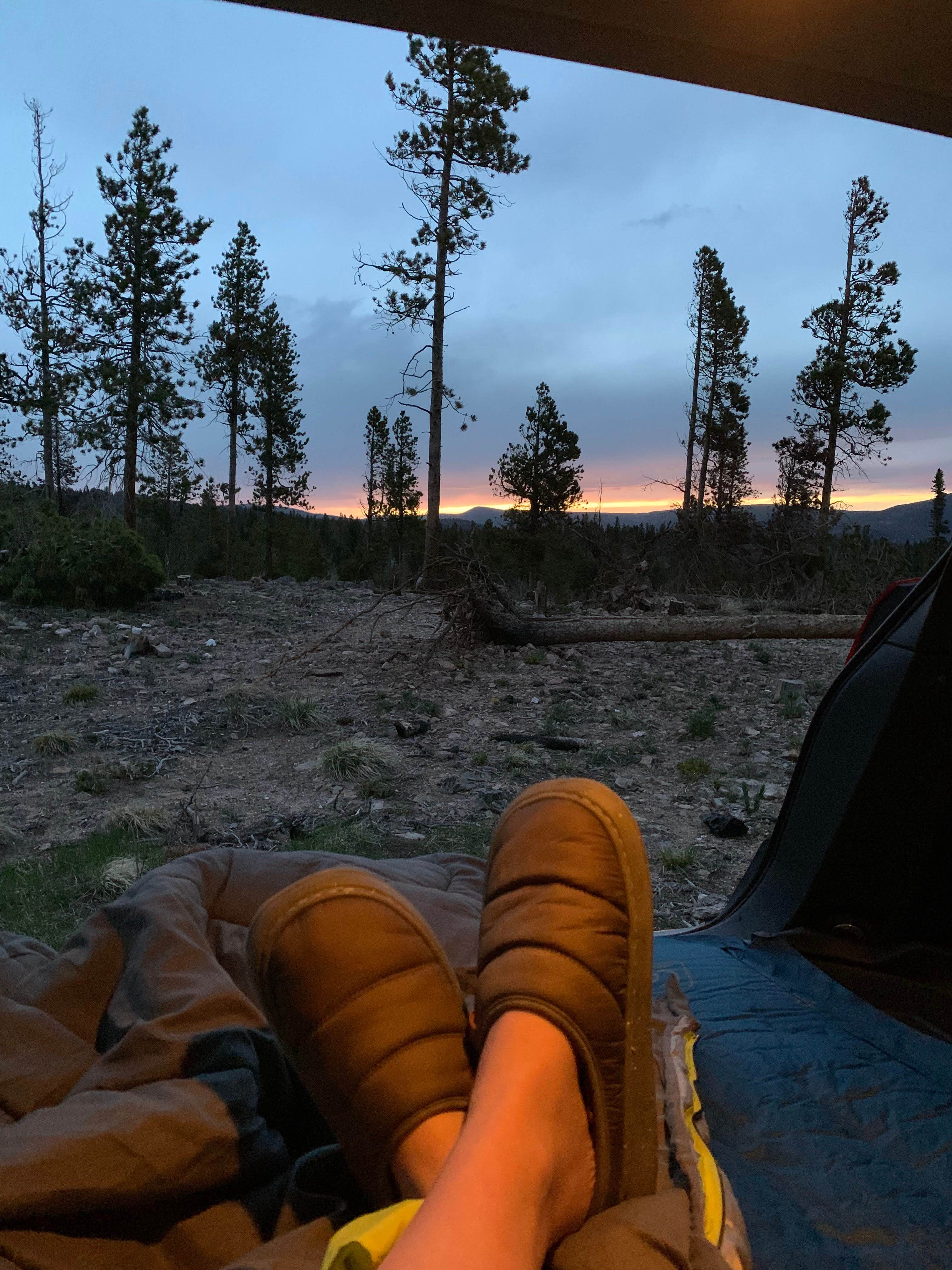 Alyson M.'s photo at Deadman Road - Dispersed Site in Colorado