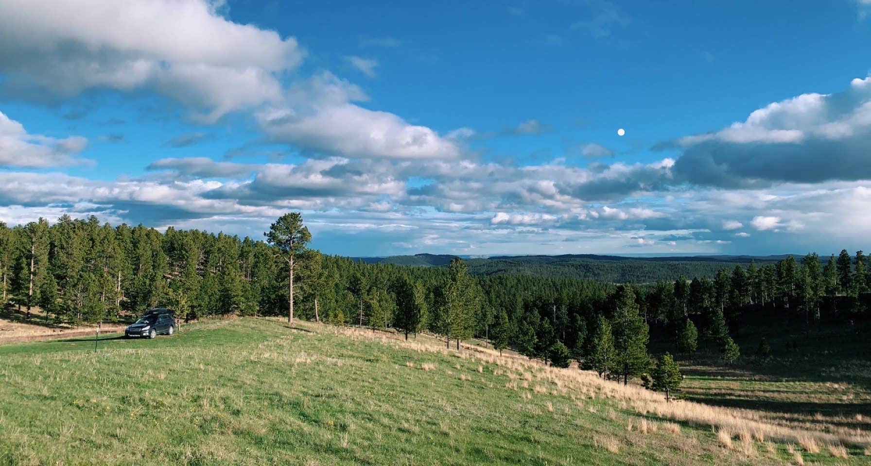 Alyson M.'s photo of a dispersed camping area at North Pole Rd Dispersed Camping near Pringle, SD