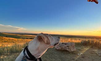 Maggie C.'s photo of camping with pets at 7th Ranch RV Park in Montana