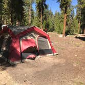 Review photo of Baby Doe by Brianna S., July 20, 2018