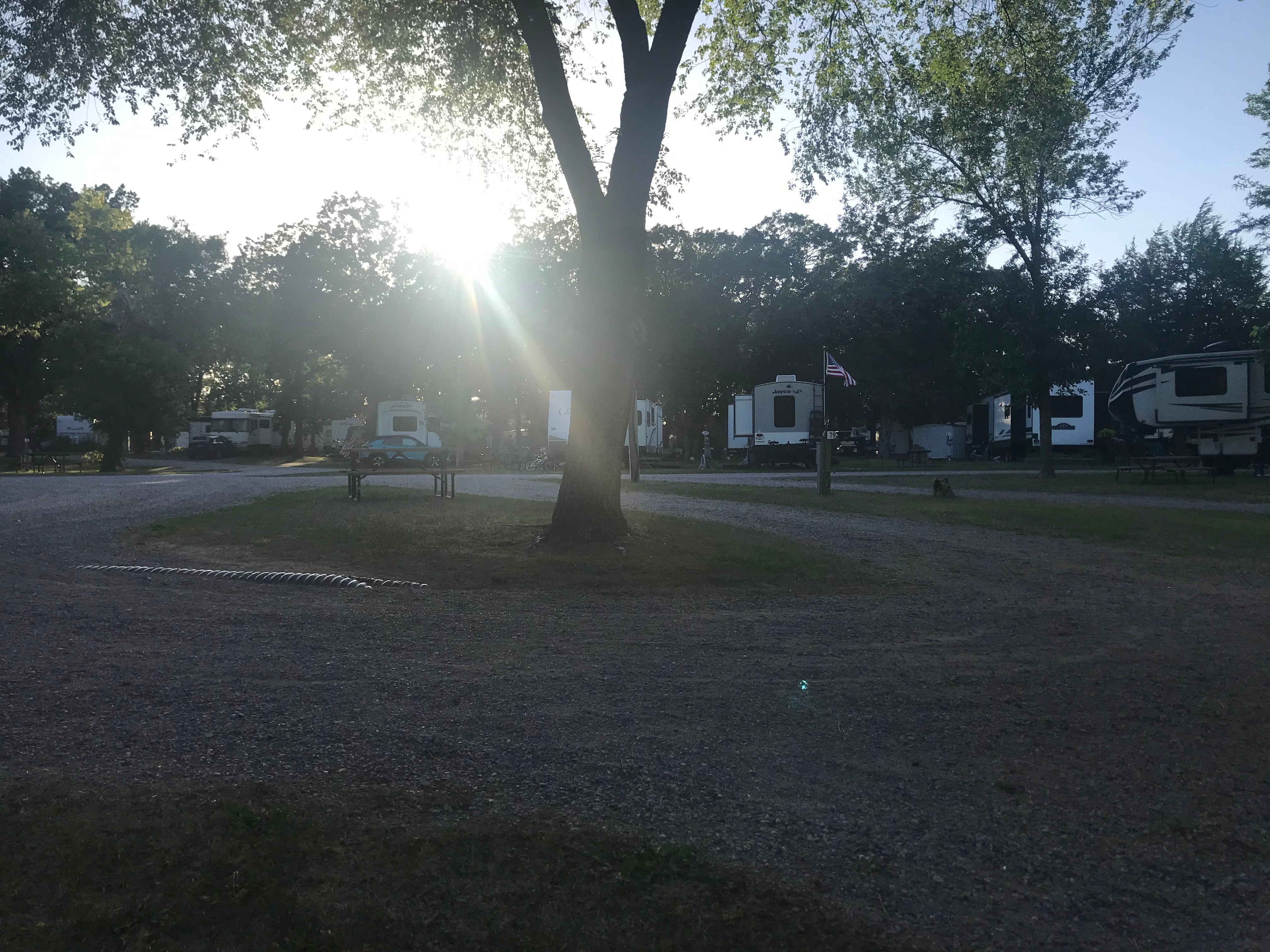 Camper submitted image from St. Cloud-Clearwater RV Park - 2