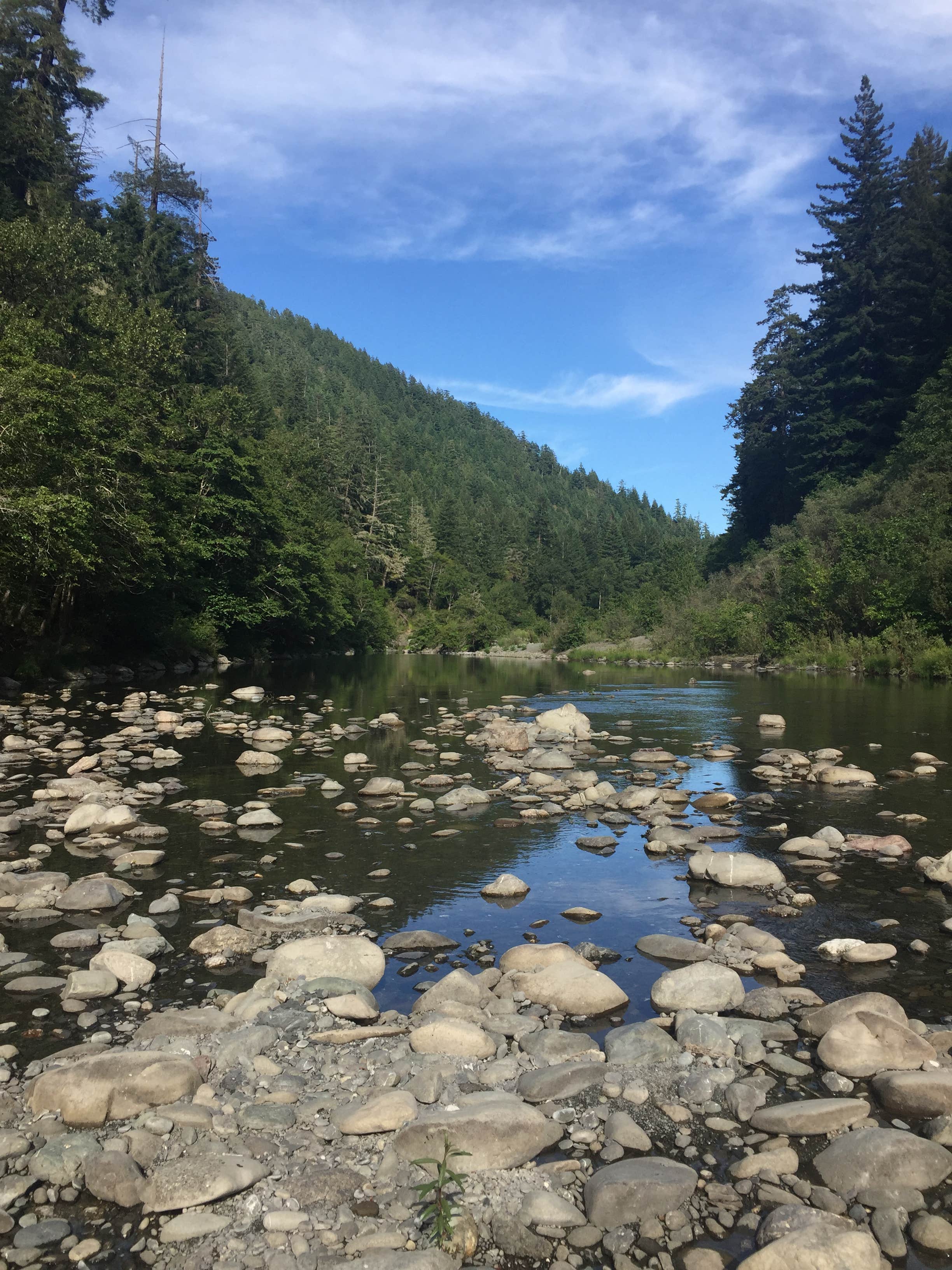 Camper submitted image from Grizzly Creek Redwoods State Park Campground - 2