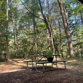 Review photo of Watkins Glen State Park Campground by Bob R., July 20, 2022