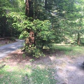 Review photo of Grizzly Creek Redwoods State Park Campground by Suzanne P., July 20, 2018