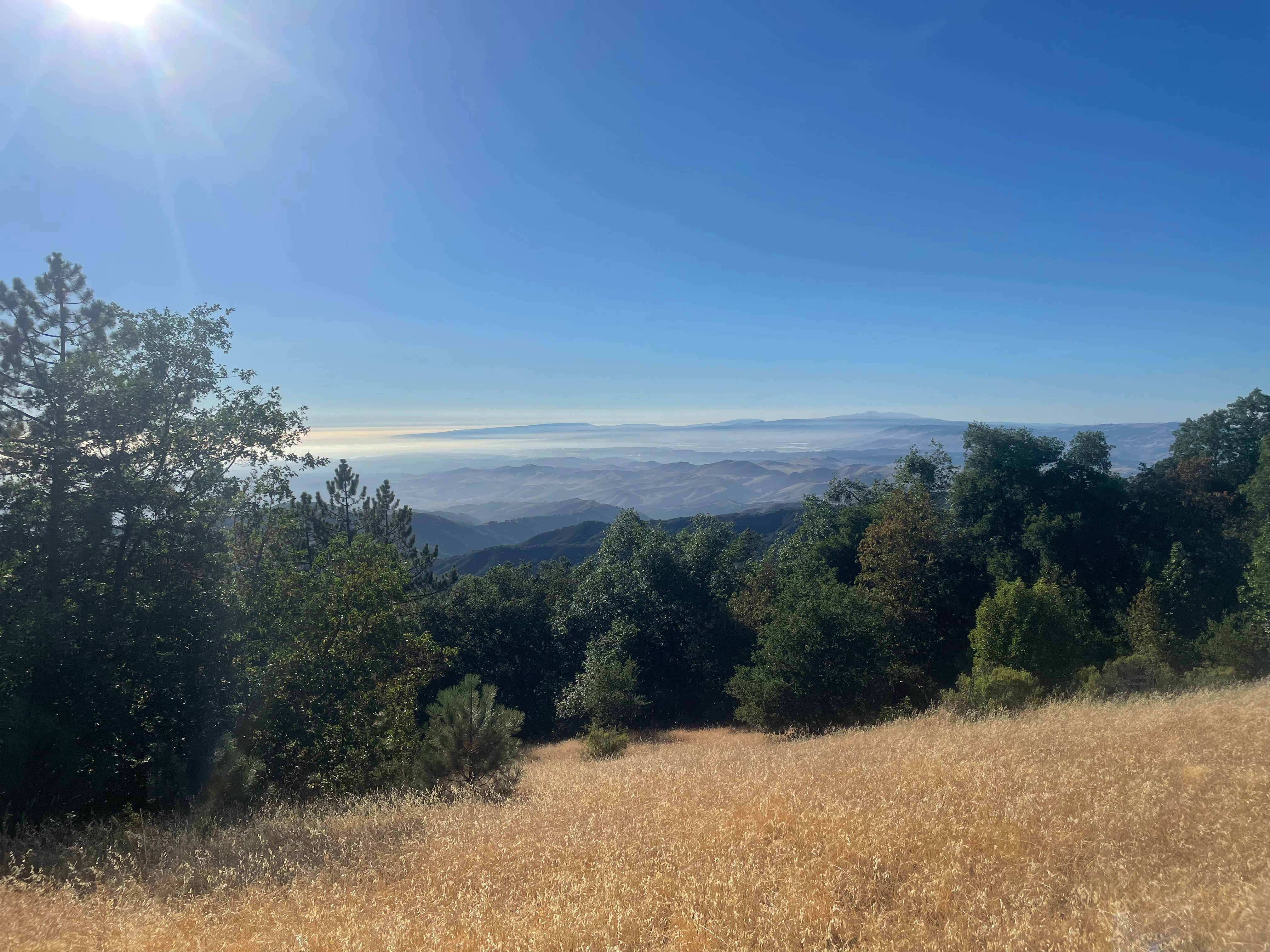 Camper submitted image from Oak Point Campground — Fremont Peak State Park - 1