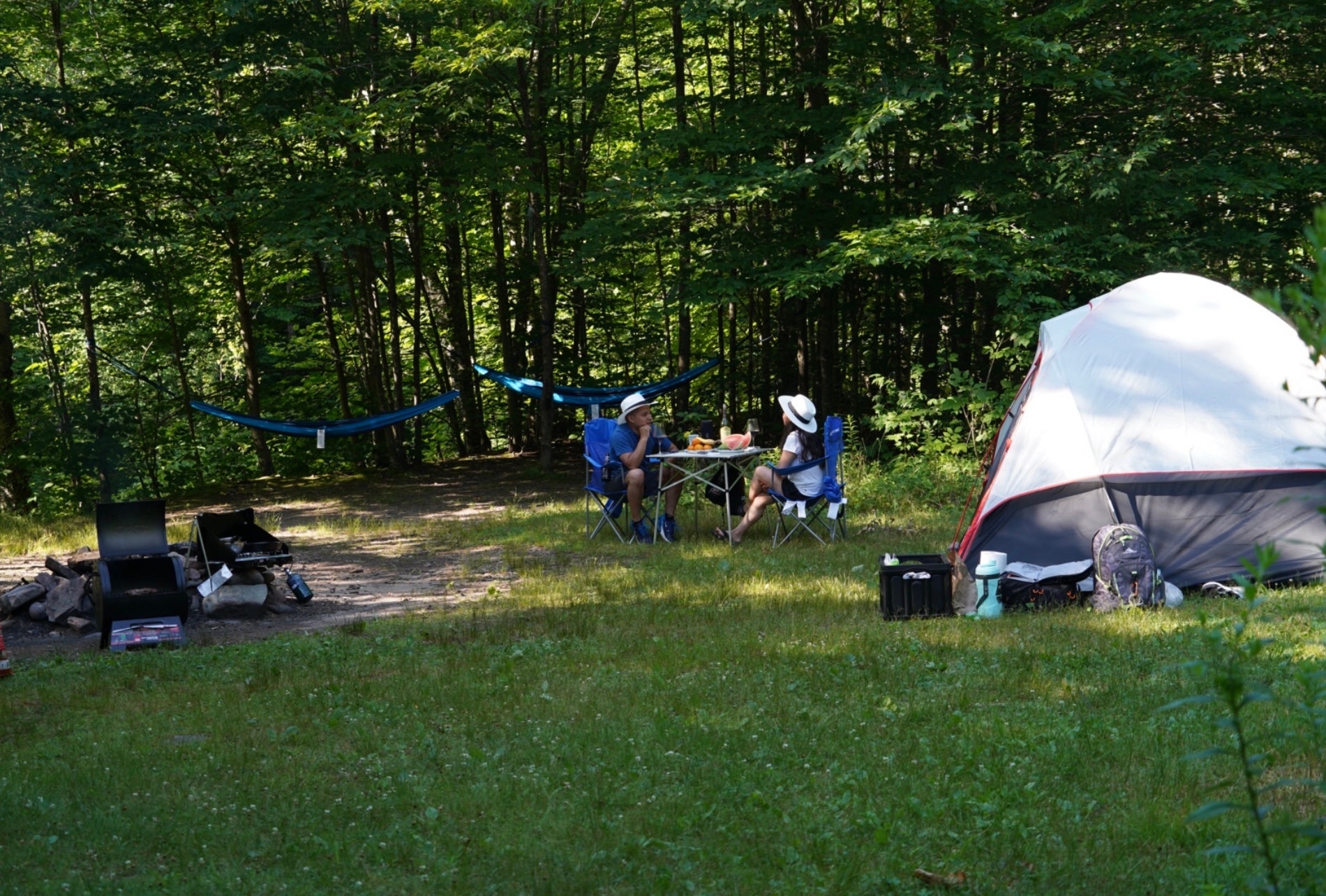 Camper submitted image from Denning Trailhead Peekamoose Primitive Camping - 1