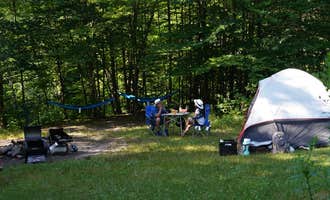 Camping near Phoenicia Black Bear Campground: Denning Trailhead Peekamoose Primitive Camping, Claryville, New York