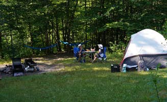 Jorge P.'s photo of a dispersed camping area at Denning Trailhead Peekamoose Primitive Camping near Saugerties, NY