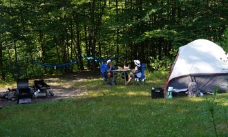 Camping near Slide Mountain Wilderness Roadside Campsite: Denning Trailhead Peekamoose Primitive Camping, Claryville, New York
