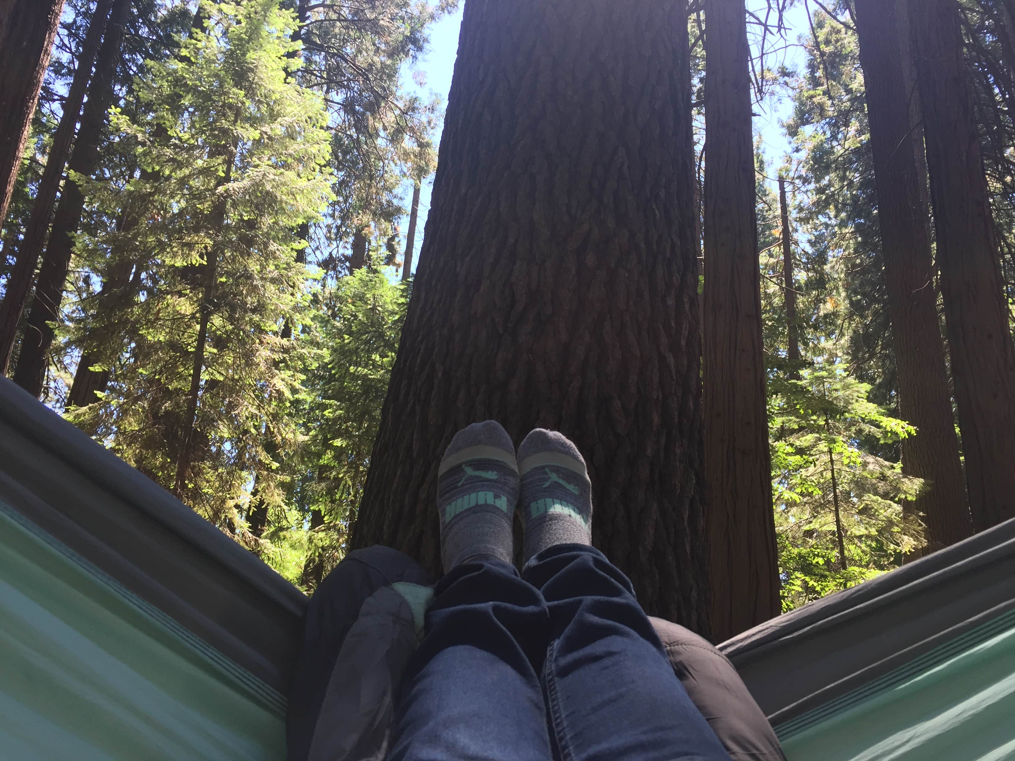 Camper submitted image from Mount Shasta City KOA - 2