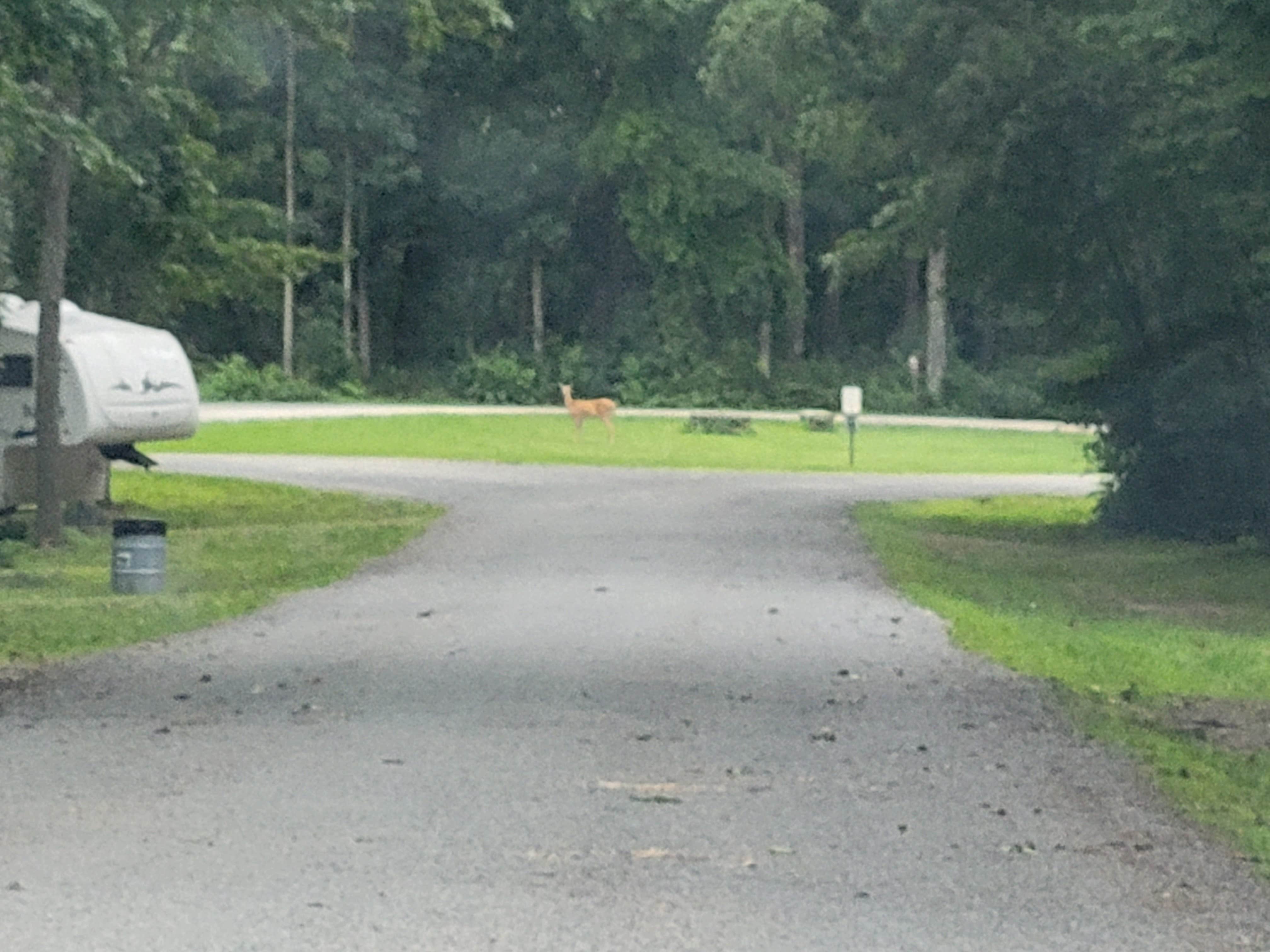 Camper-submitted photo at Sidie Hollow County Ridge Campground near Newton, WI